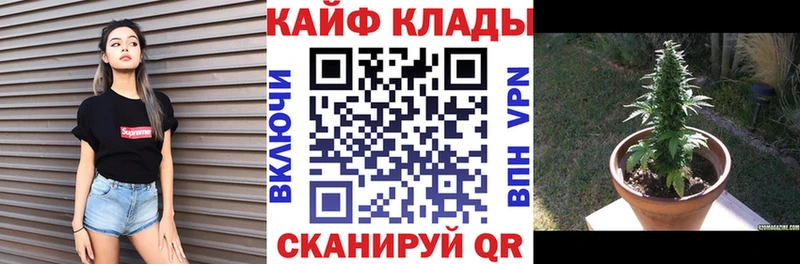 Наркошоп купить Гашиш  Псилоцибиновые грибы  МЕФ  Канабис  АМФЕТАМИН  Усть-Лабинск