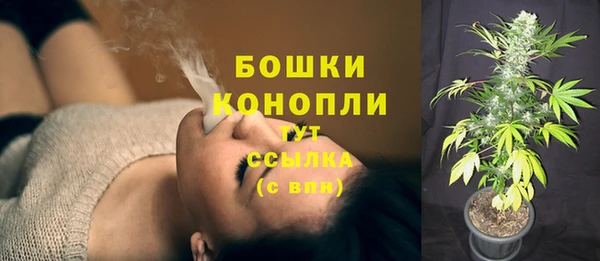 ПСИЛОЦИБИНОВЫЕ ГРИБЫ Дмитровск