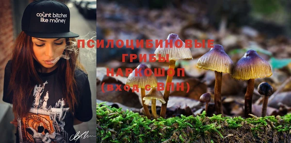 ПСИЛОЦИБИНОВЫЕ ГРИБЫ Дмитровск