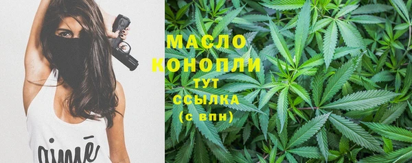 прущая мука Дмитриев