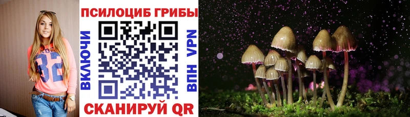 Псилоцибиновые грибы мицелий  Купить где  Усть-Лабинск 